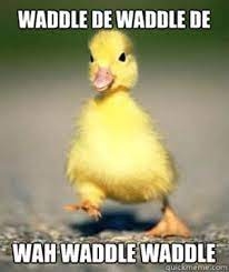 1665503903776.jpeg