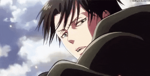 1667083175502.gif