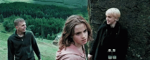 1667149123889.gif