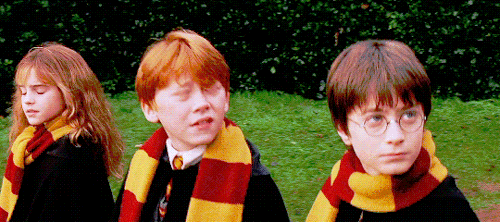 1667158770985.gif
