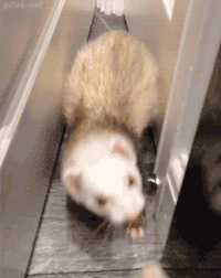 1667273655559.gif