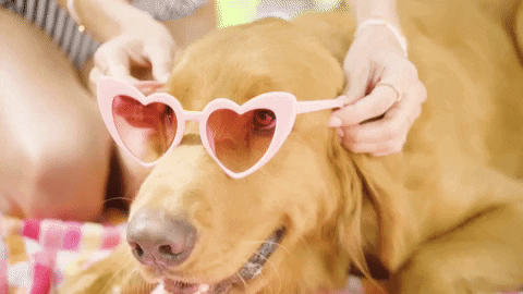 1667759637386.gif