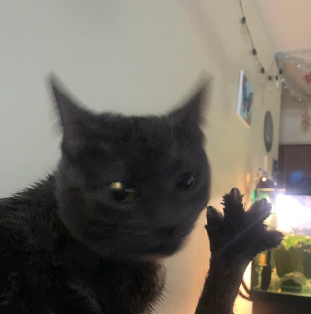 1668380472963.png