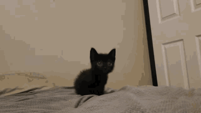1668741762840.gif