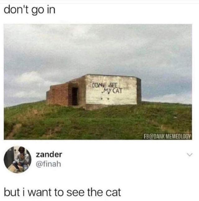 1670366480607.png