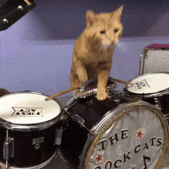 1670379318639.gif