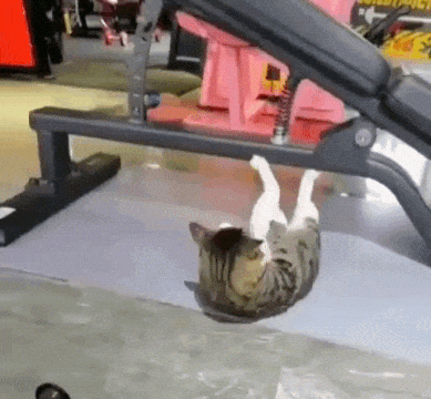 1670442476045.gif