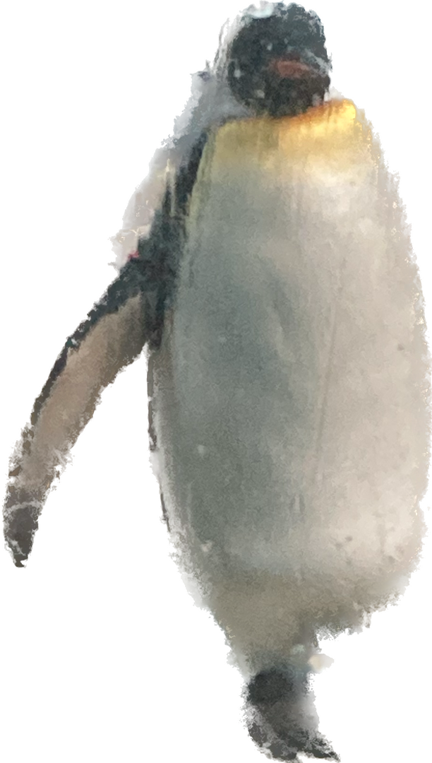 1670638349555.png