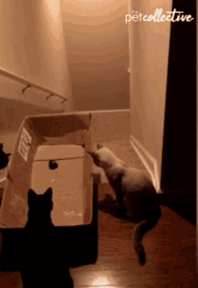 1670717928131.gif