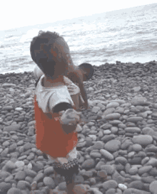 1670825446539.gif