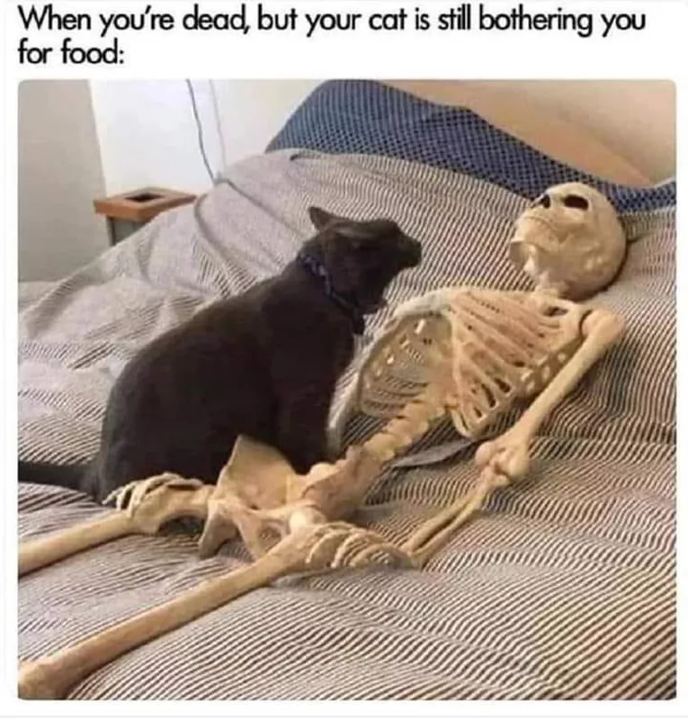 1671058367741.png