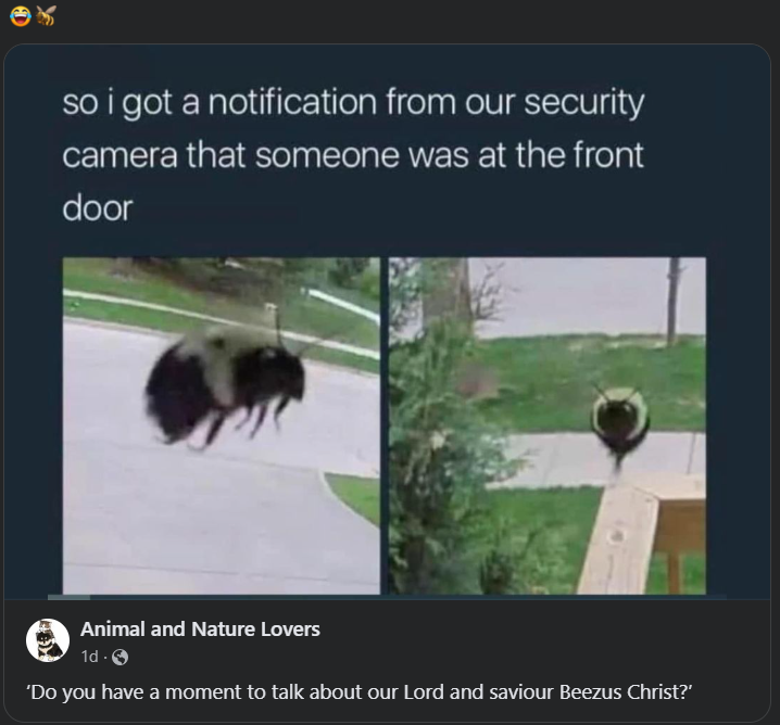 1671221446523.png