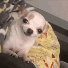 1671590047991.gif
