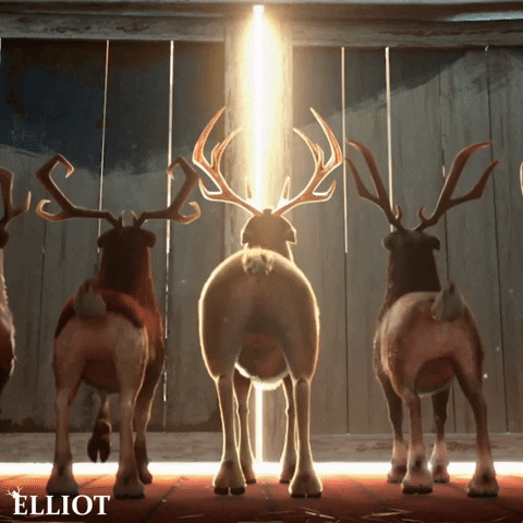 1671855143995.gif