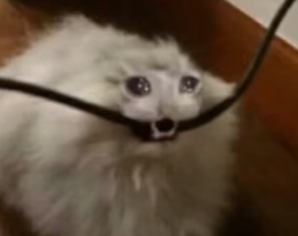 1672178125571.png