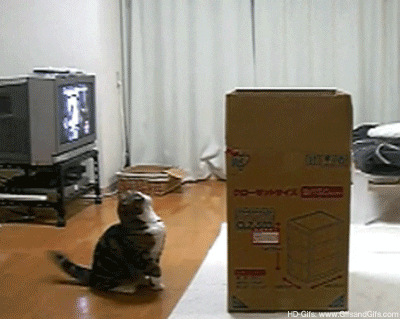 1672273658430.gif