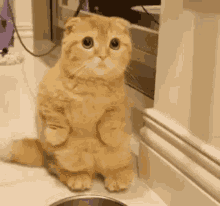 1672535188932.gif