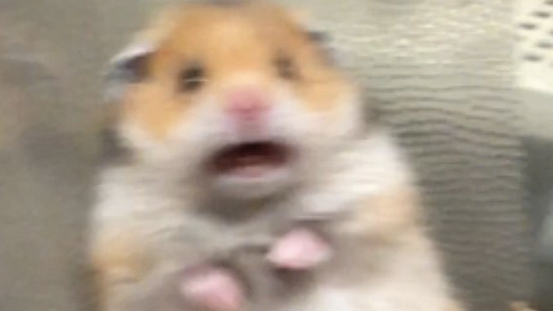 1672915065459.png