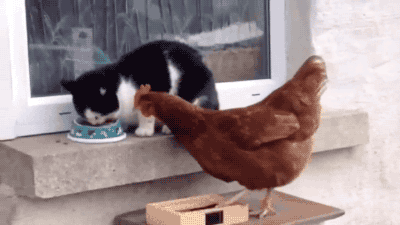 1673147838990.gif