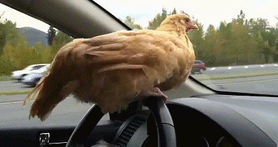 1673147924836.gif