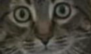 1673297344562.png