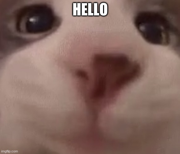 1673298646229.png
