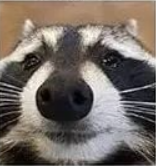 1673985492464.png