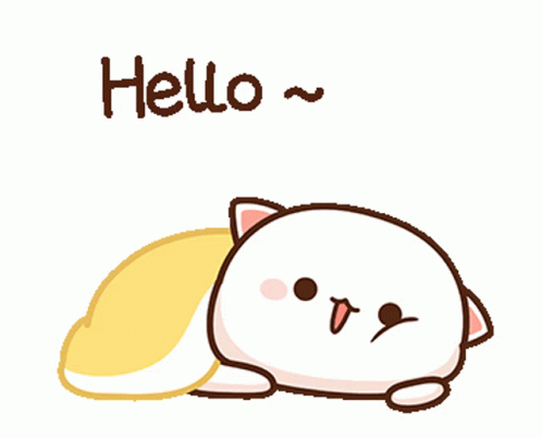 1674172611301.gif