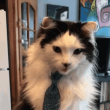 1675058398061.gif