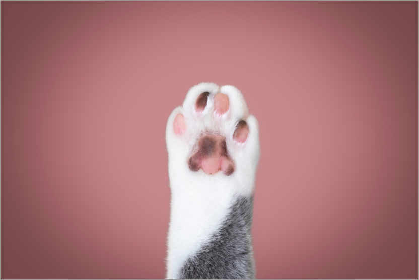1675116855550.png