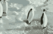 1675285051079.gif