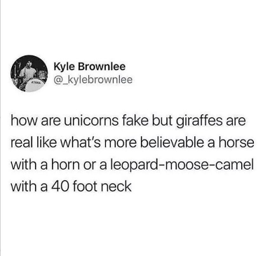 1675451818556.png