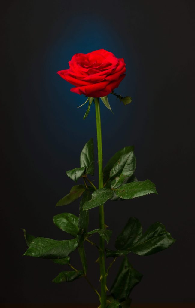 1676433164718.png