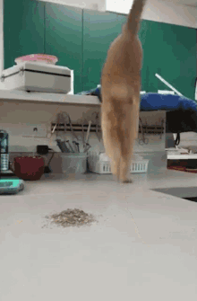 1676831172667.gif