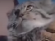 1677181419265.png