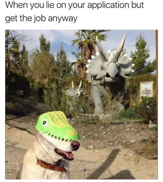 1677612989449.jpeg
