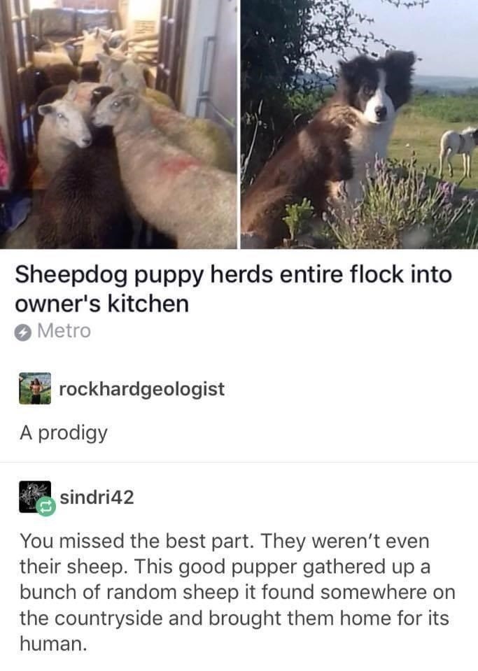 1677710589301.jpeg