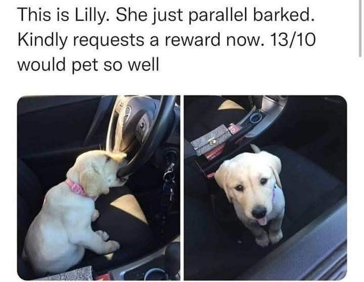 1679015276688.jpeg