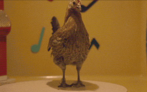 1679192489485.gif
