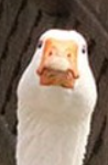 1679423025507.png
