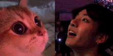1680638749445.gif