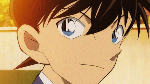 1683243372388.gif