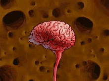 1683426713832.gif