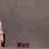1683563006162.gif