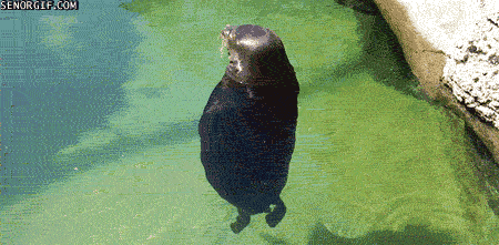 1683645176081.gif