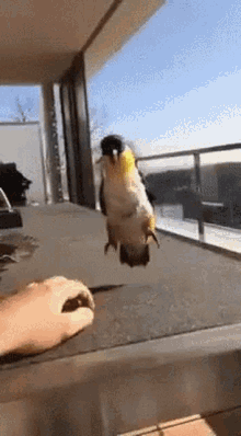 1683665799872.gif