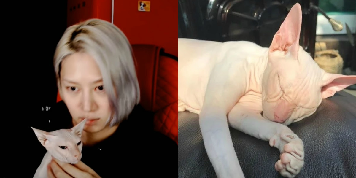 1683817877949.png