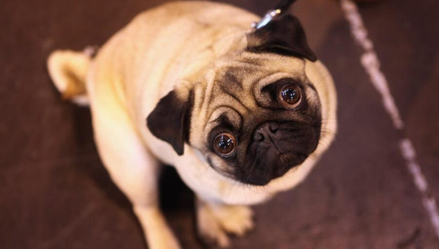 1684163213111.png