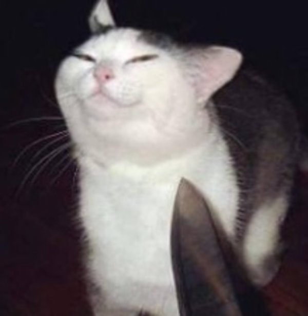 1684356455269.png