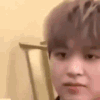 1684908841133.gif